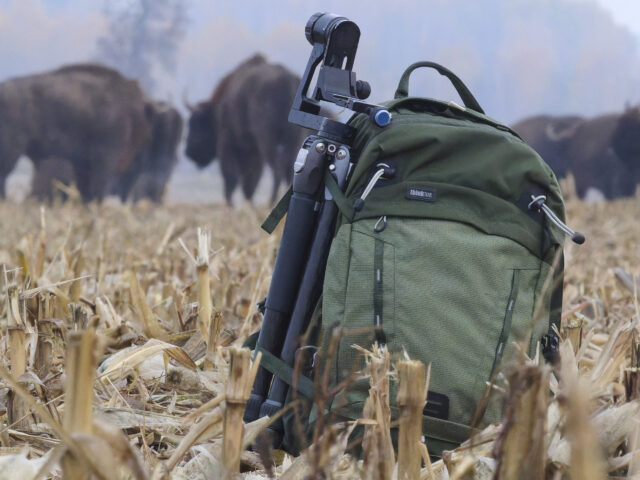 ThinkTank BackLight 26l w praktyce | Recenzja po trzech tygodniach użytkowania – Wojciech Jamiołkowski