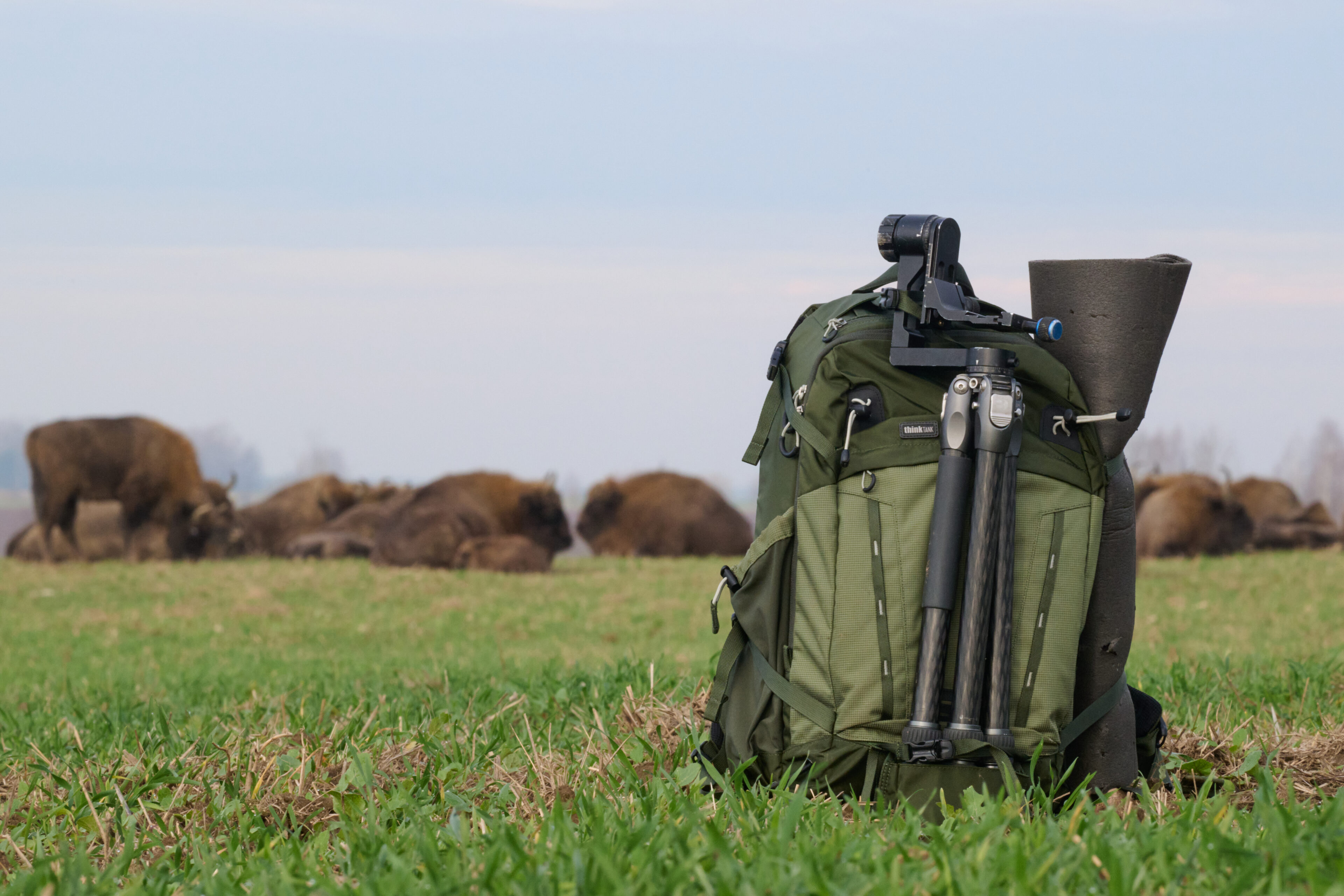 ThinkTank BackLight 26l